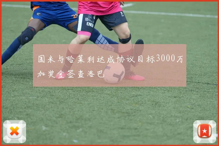 国米与哈莱利达成协议目标3000万加奖金签查洛巴