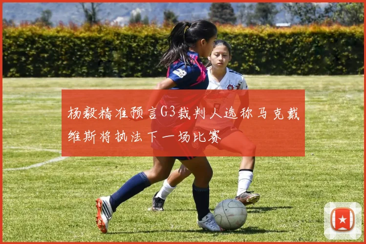 杨毅精准预言G3裁判人选称马克戴维斯将执法下一场比赛