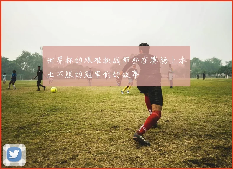 世界杯的艰难挑战那些在赛场上水土不服的冠军们的故事